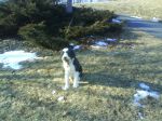 DSC00009.JPG
