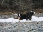 Dud and Murp on Snow.jpg
