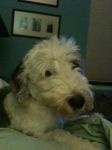 Innocent Izzie.JPG