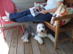 Izzie under me and the bench.JPG