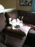iz at home 1.JPG