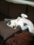 iz at home 2.JPG