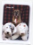 CharlieBrown,Sebastian,Dixie.jpg