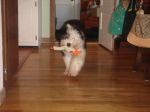 DSC02253.JPG
