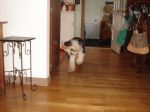 DSC02261.JPG