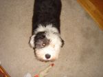 DSC02267.JPG