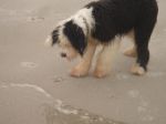 DSC02548.JPG