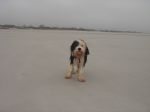 DSC02566.JPG
