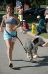 Dog Dash.jpg