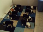 DSC00053.JPG