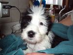 DSC00276.JPG