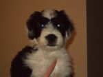 DSC00306.JPG