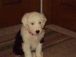 DSC00329.JPG