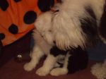 DSC00330.JPG