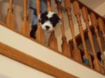 DSC00341.JPG