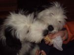 DSC00531.JPG