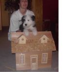 birdhouse.JPG