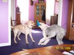 100_1269.JPG