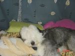 DSC01998.JPG