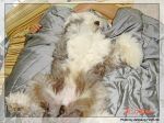 DSC02305.JPG