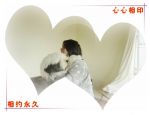 DSC03031.JPG