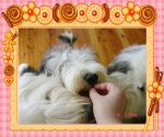 DSC04642.JPG