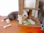 DSC04672.JPG