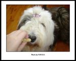 DSC05499.JPG