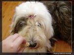 DSC05500.JPG