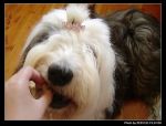 DSC05501.JPG