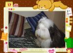 x1pjzF2-RYhxRX3RSO-LPqEUmxpvIxEjBppW661JkemkPHOOm1H0DRvea2TzBbJkJ4qc4suUz8_l9EIkeA0V_BSKer6DxxSCw_HHrnL-g-m4P1lO25DtBhUpA.jpg