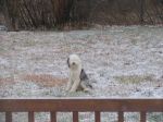 Christmas 2006 022.jpg