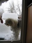 Christmas 2006 085.jpg