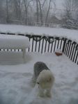 Eldo snow 003.jpg