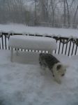 Eldo snow 004.jpg