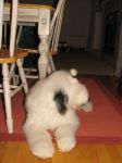 IMG_1124.JPG