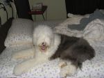 IMG_1283.JPG