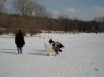 Bosley at Jack Daniel_s Park.JPG