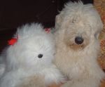 Dec 06 Bosley and stuffie.JPG
