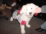DSC00854.JPG