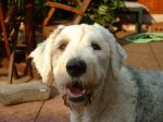 2006_0704_175657AA.JPG