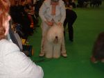 DSCF0002~2.JPG