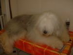 DSCF0012~2.JPG