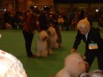 DSCF0014~1.JPG