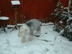 DSCF0064.JPG