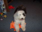 REba 0927.jpg