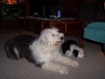 Reba Zeke 0927.jpg