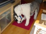 DSC01002.JPG