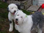 DSC01735.JPG
