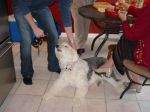 Thanksgiving 2007 002.jpg